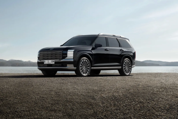 All New Palisade